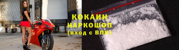 СК Вязьма