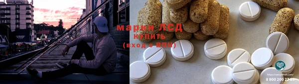 эйфоретик Вяземский