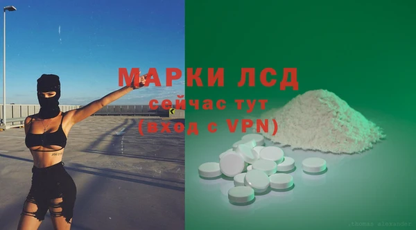 СК Вязьма