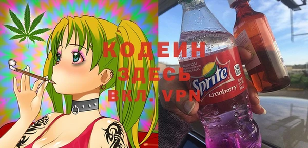 эйфоретик Вяземский