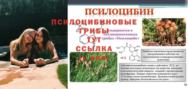 эйфоретик Вяземский