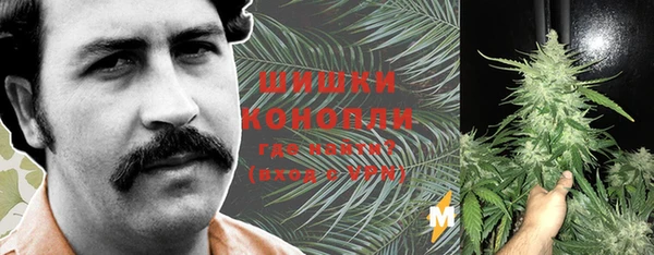 эйфоретик Вяземский