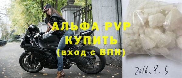 СК Вязьма