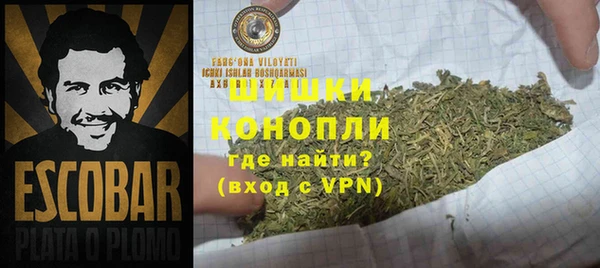 эйфоретик Вяземский