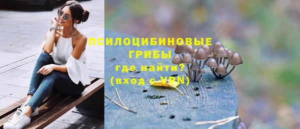 эйфоретик Вяземский