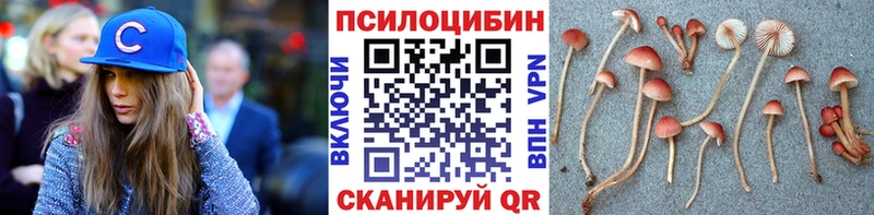 это формула  где купить наркоту  Владикавказ  Псилоцибиновые грибы GOLDEN TEACHER 