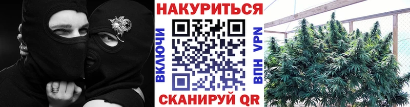 Бошки Шишки марихуана Владикавказ